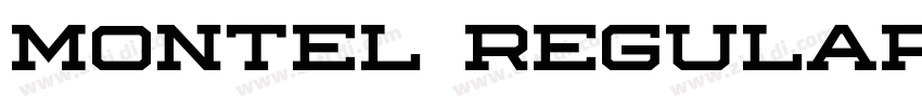 Montel Regular字体转换
